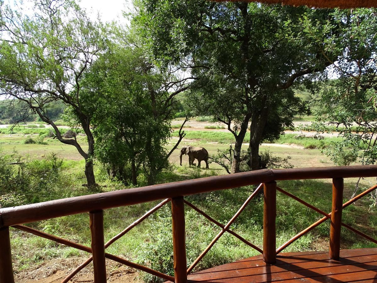 Emhosheni River Lodge Резерват за животни „Балуле“ Екстериор снимка
